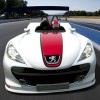 ���� Peugeot 207 Spider Concept