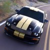 ���� Ford Shelby