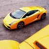 ���� Lamborghini Gallardo
